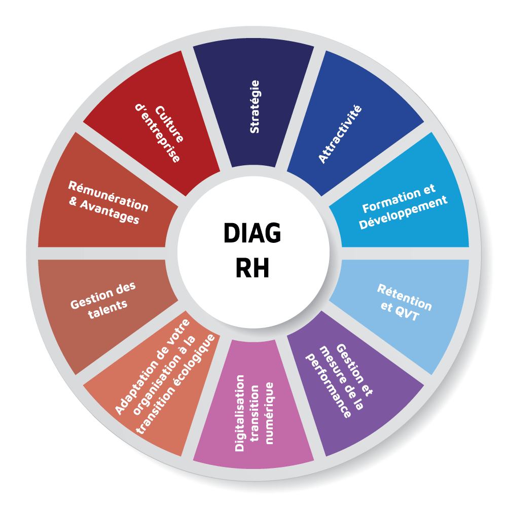 roue représentant toutes les sujets traités par le diag RH