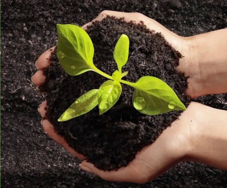 Humain-transformation-écologique